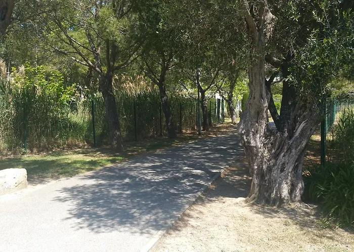 Daire Domaine Flore Dauphin