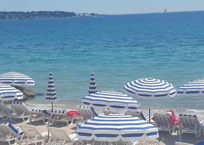 Domaine Flore Dauphin Daire Juan-les-Pins