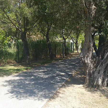 Apartamento Domaine Flore Dauphin
