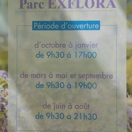 Apartamento Domaine Flore Dauphin Juan-les-Pins